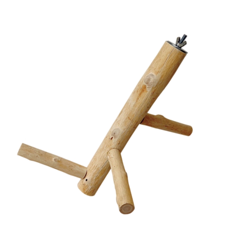 Bird Training Perch Standing Perch Toy for Parakeets Budgies Teeth Care