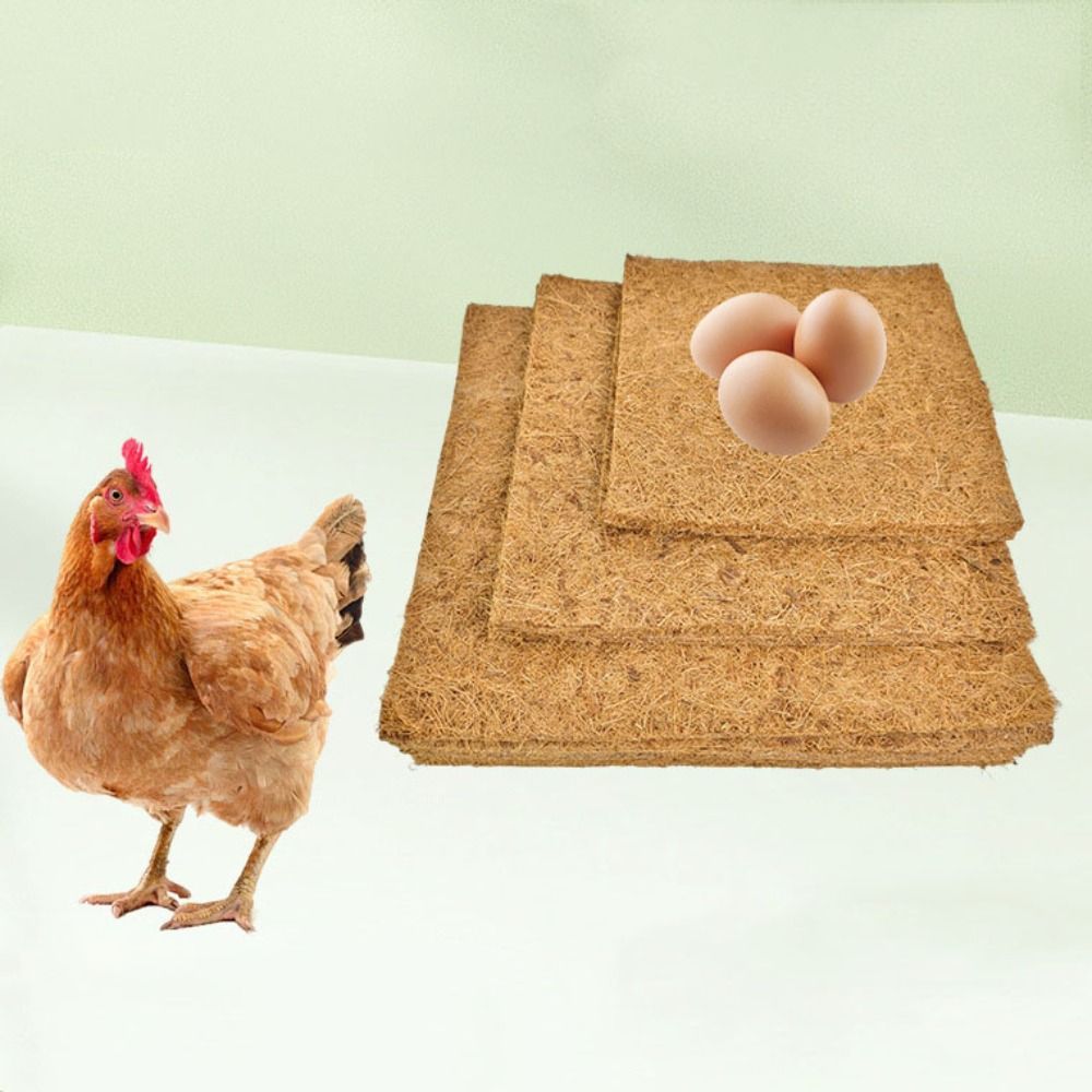 6Pcs Natural Coconut Coir Chicken Hatch Pads Freeze-proof Dry Hens Bedding Mat Square Reusable Reptile Box Mat Farm