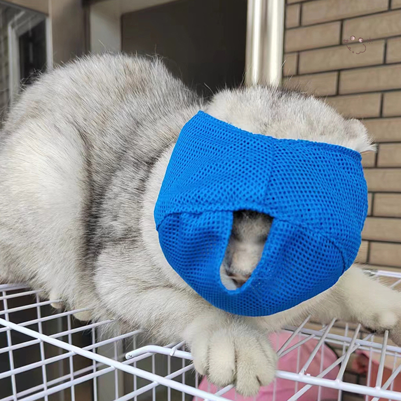 Pet Cat Anti Bite Muzzle Mask Breathable Dog Cat Beauty Muzzles Mask Multifunctional Anti Bite Chewing Mask Pet Supplies