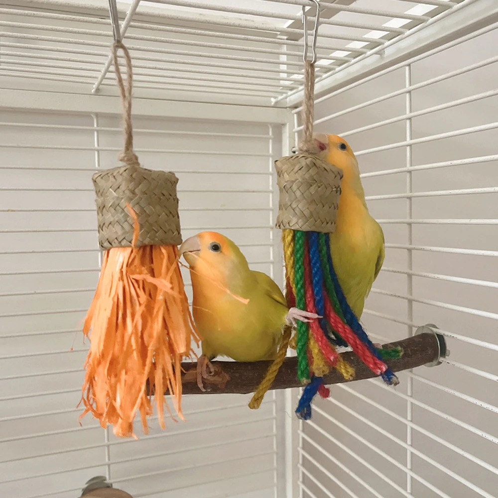 Eco-Friendly Multi-Colored Rattan Hangable Perch - Perfect Interactive Playtime Tool
