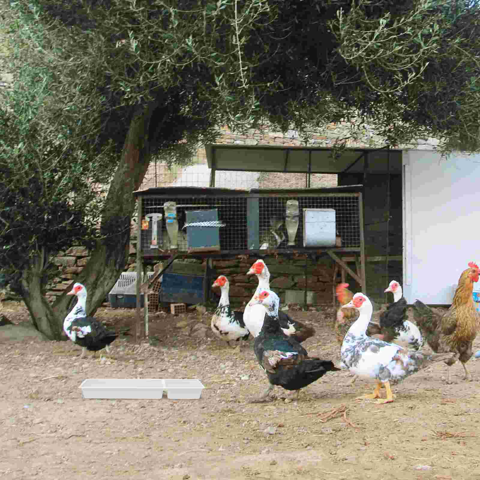 2 Pcs Cage Tray Pigeon Feeder Chicken Chickens Ducks Containers for Food Poultry Troughs Feeding Feeders Anti-spatter Manger