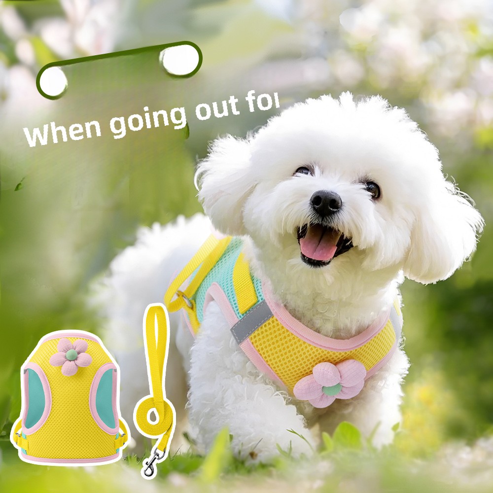 Adjustable Kitten Leash with Chest Harness - Small & Medium Dog Vest Type Pet Gear Set
