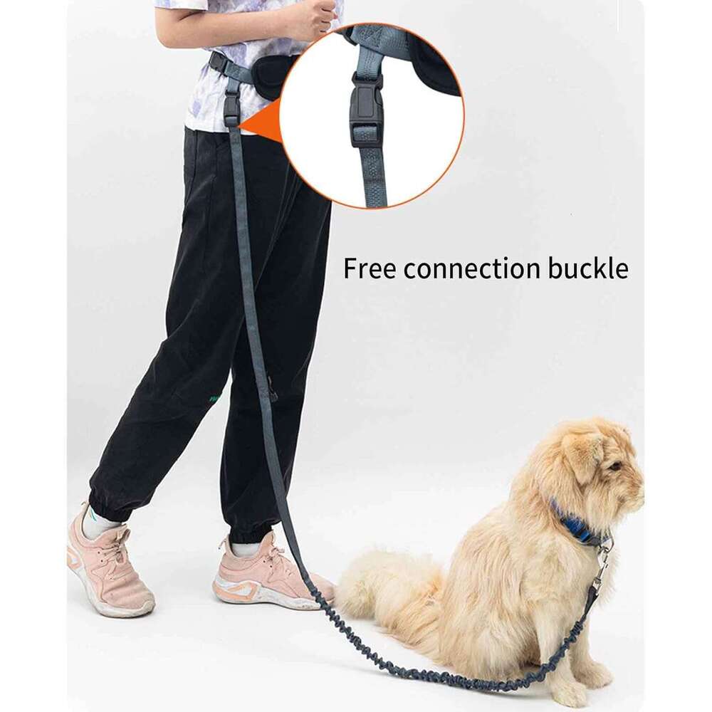 DHpet Rope Dog Lead for Medium Dogs Dog Leash Retractable Long Belt 1.6m with Carabiner Small Dogs Buckle Drawstring Hook Loop Large Capacity Waterpro