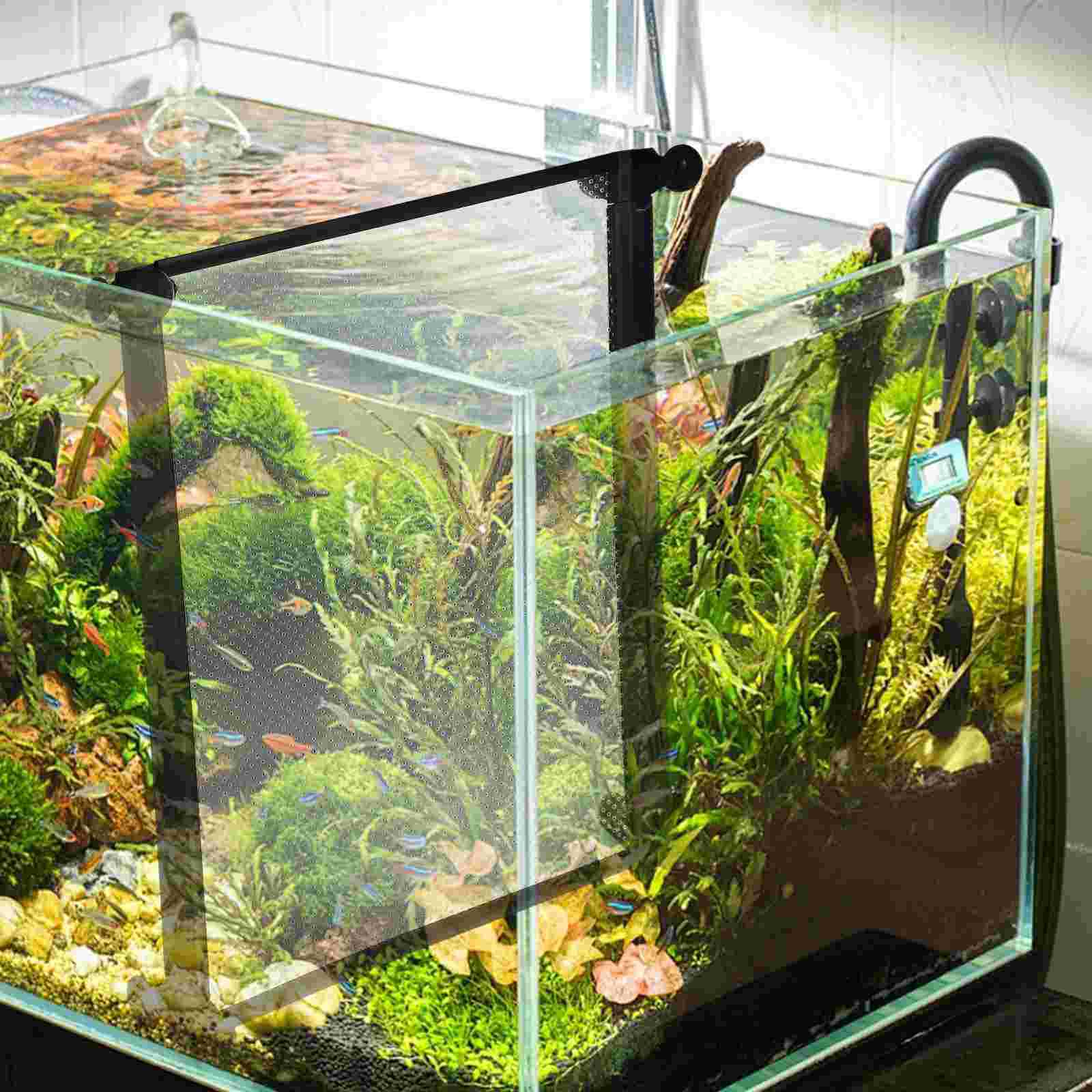 Aquarium Filter Fish Bowl Mini Divider with Suction Cup Tank Turtle Accessories