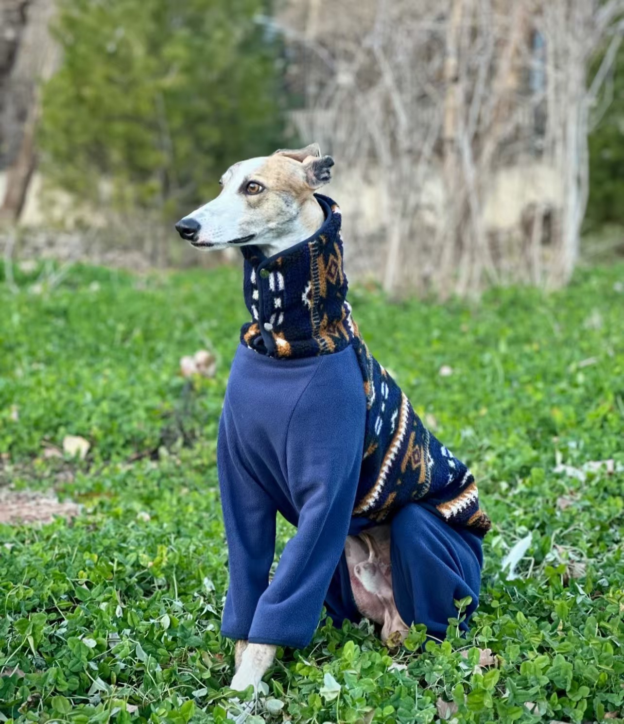 Fashion Bohemia Fleece Sweatshirt for Whipbit Luxury Soft 4-legged High-Neck Windproof Coat for Italy Greyhound Terrier Jumpsuit