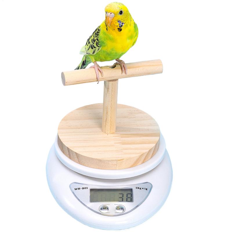 Bird Weight Scale Parrot Training Bird Small Animal Scale With Perch High Accuracy Convenient Digital Weighing Tool For Weight
