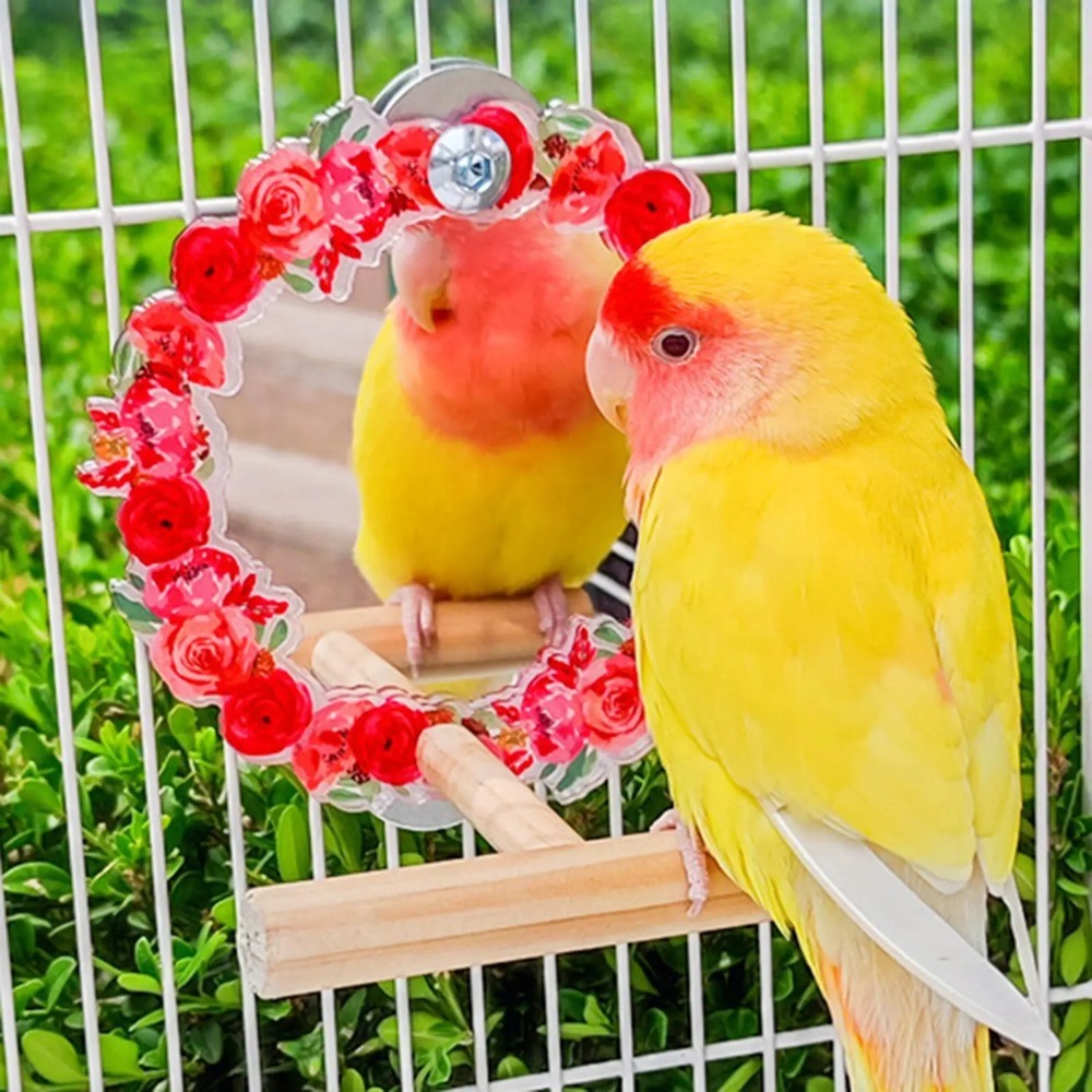 Wood Bird Perch Mirror Toy Hanging Fun Birdcage Mirror Toy Removable Colorful Cage Vanity Toy For Finch Canary Cockatiels
