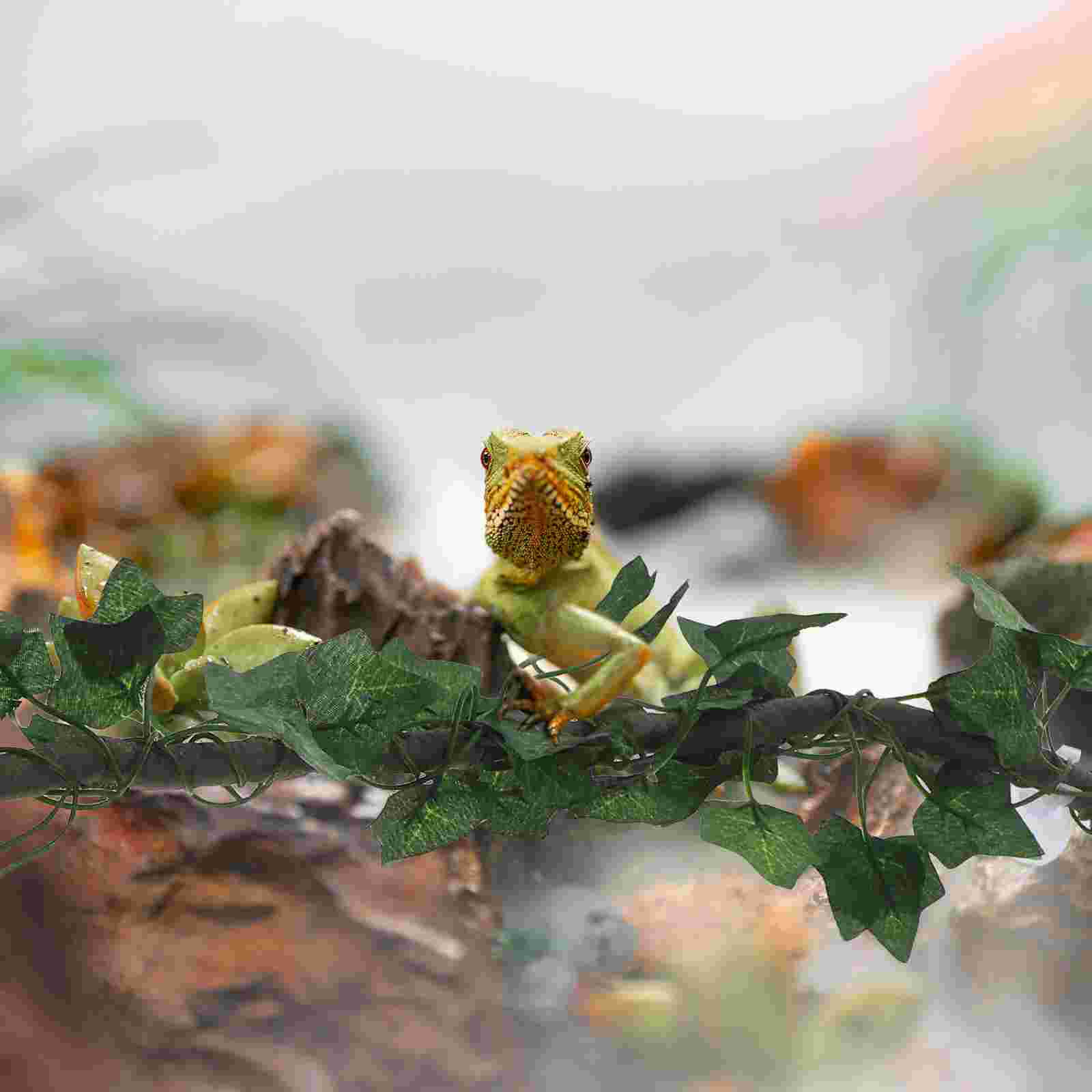 Terrarium Decoration Reptiles Habitat Plants Accessory Gecko Rabbit Toys Hammock Lizard Accessories Decorations for Supplies