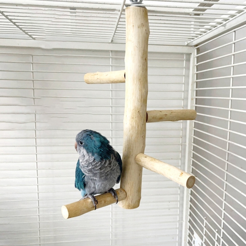 Bird Training Perch Standing Perch Toy for Parakeets Budgies Teeth Care