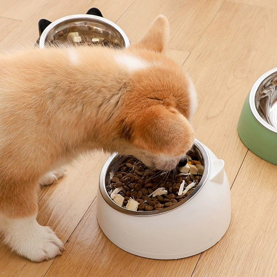 Stainless steel dog cervical protection cat bowl, slanted mouth pet food bowl c1