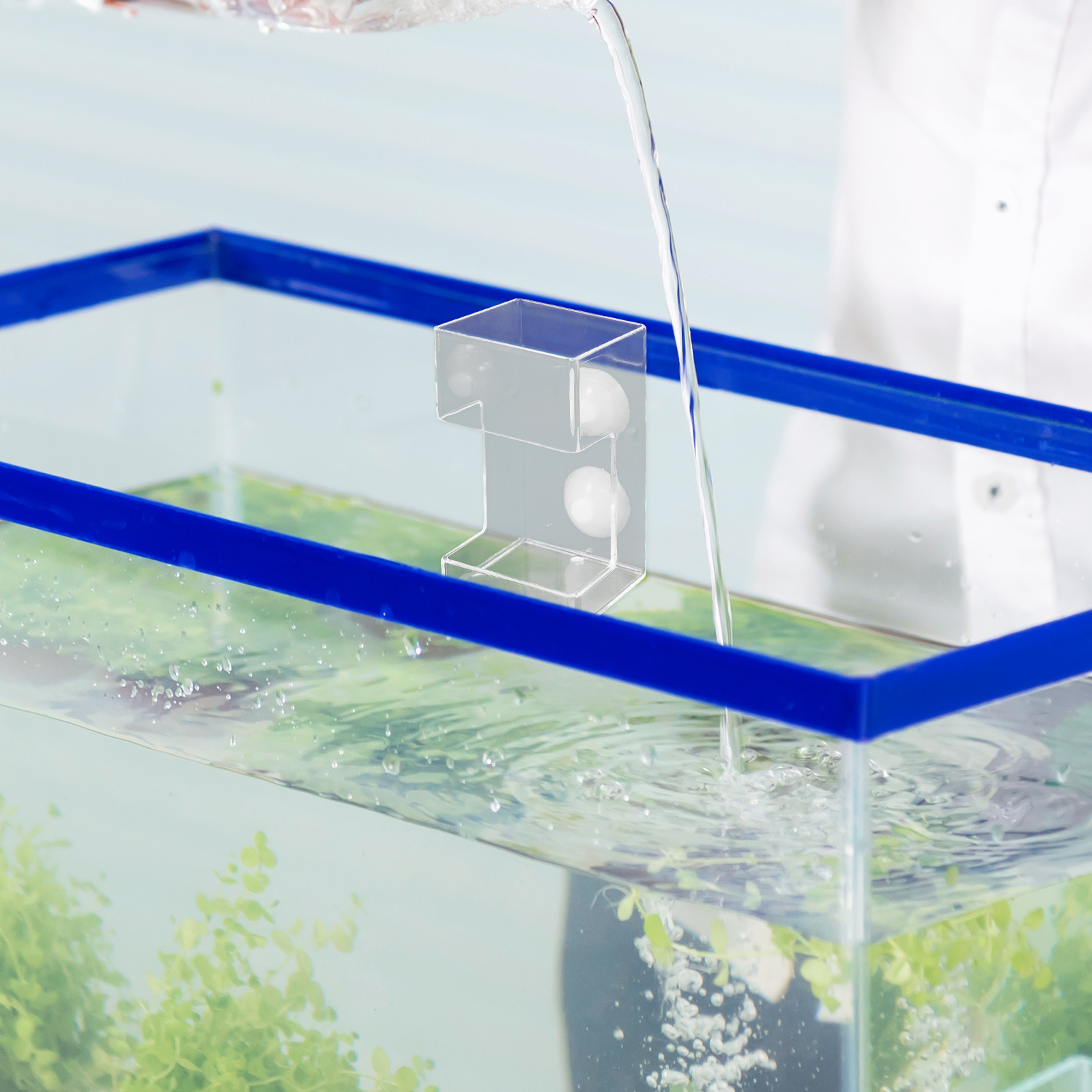 Fish Tank Feeder Suction Cups Feeders Food Aquarium Feeding Dish Shrimp Automatic