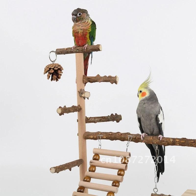 Parrot Playstand Bird Plays Stand Cockatiel Perch Wooden Playground Playground Gym Ladder Plate with Toy Metal Feeder