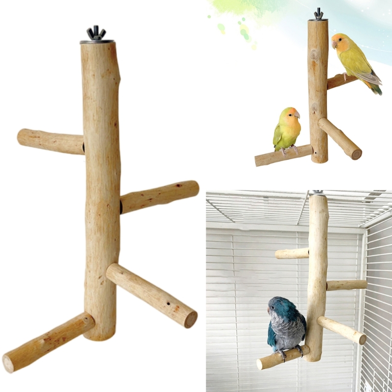 Bird Training Perch Standing Perch Toy for Parakeets Budgies Teeth Care