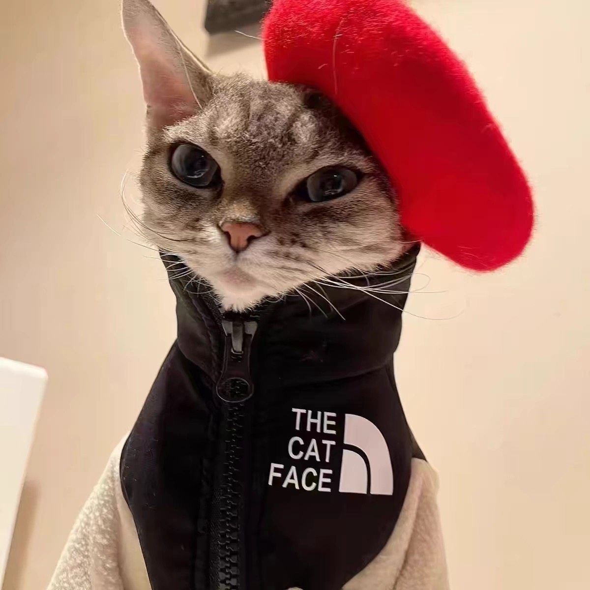 2025 new THE CAT FACE Sphynx Jacket Warm Thickened Fleece Sest Hairless Clothes with Zipper Cat Coat for Devon,Cornish, Peter Bald, Small Ki