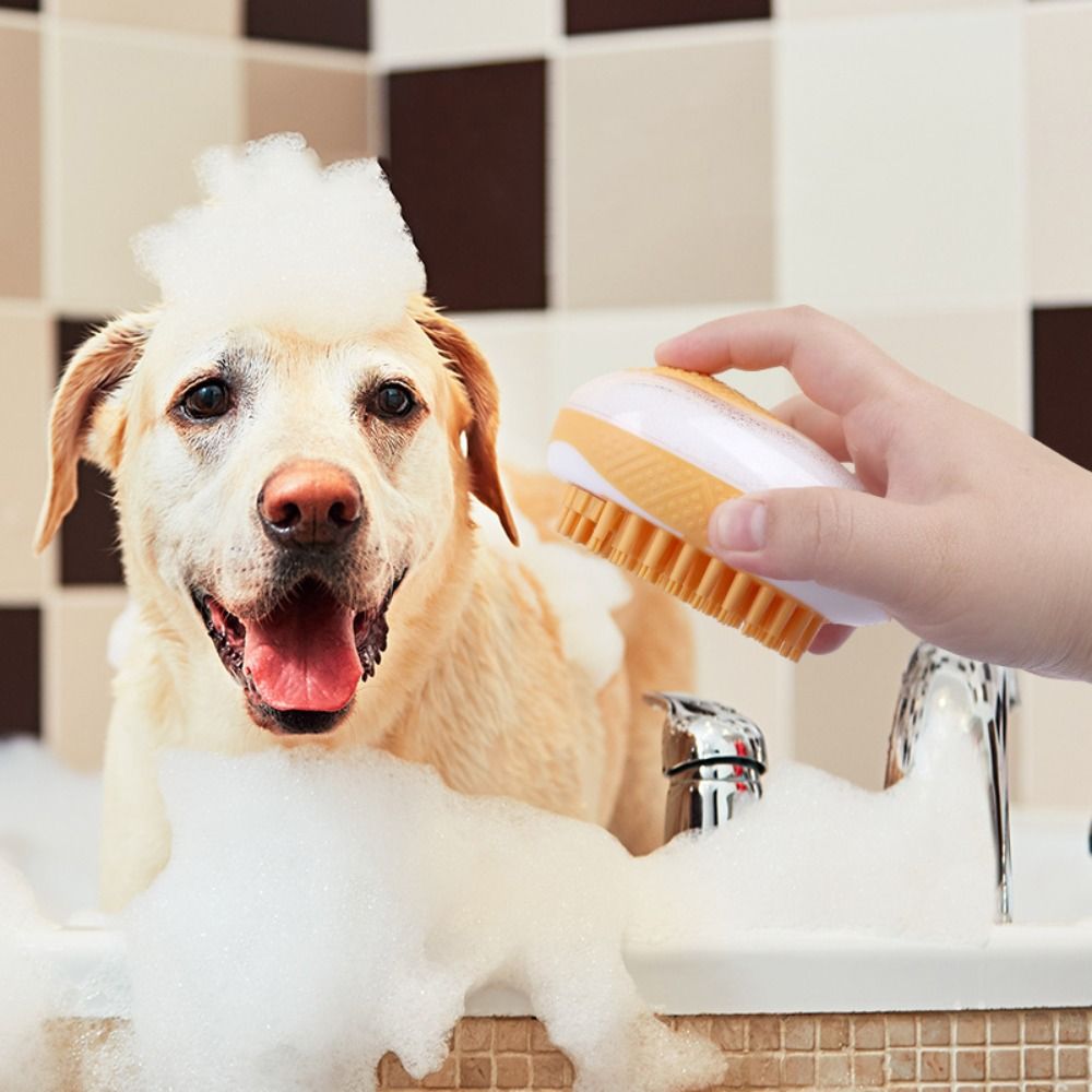 Soft with Shampoo Dispenser Dog Bath Brush Comb Silicone Quiet Cat Massage Brush Portable 2 In 1 Pet Shower Comb Pet