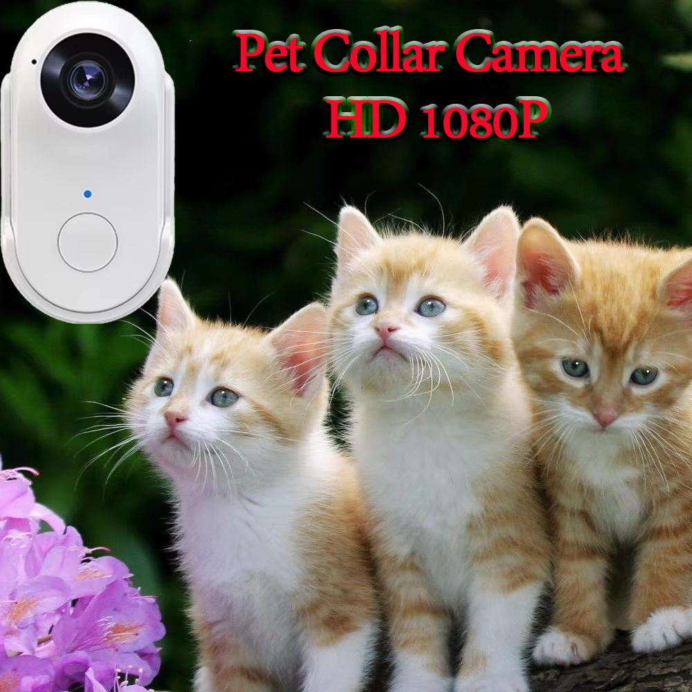 Pet Collar Camera HD 1080P WiFi Lightweight Thumb Action Cam Cats Dogs Mini Sports Video Recorder Motion Detection Night Vision