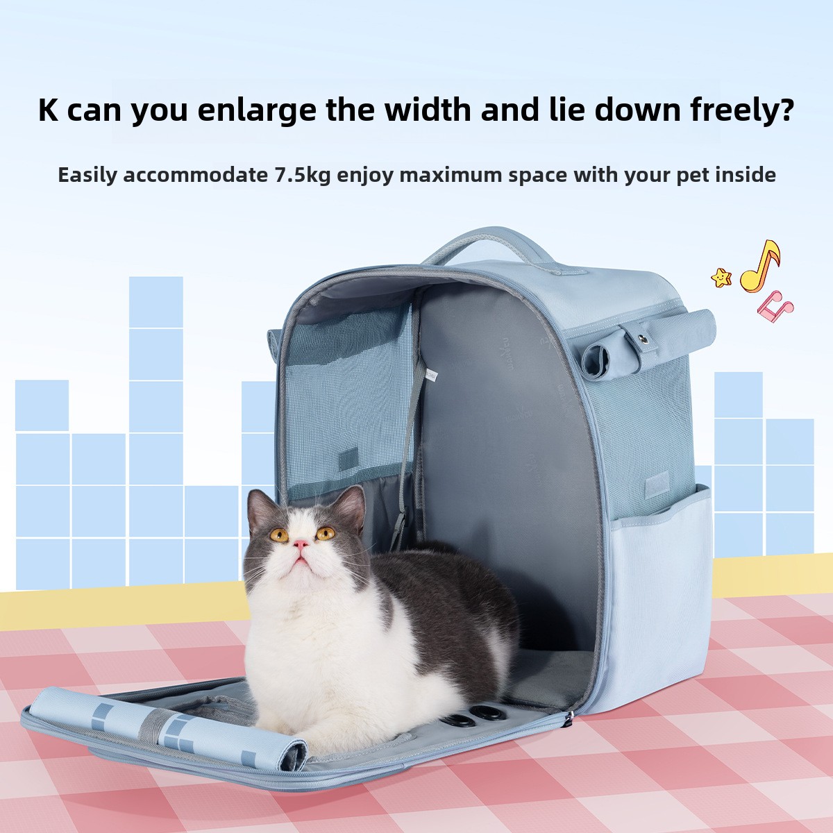 Pet Carrier Cage Handbag Travel Bag Pet Backpack Accessories Cat Backpack Carrier Space Cat Transport Sac De Transport