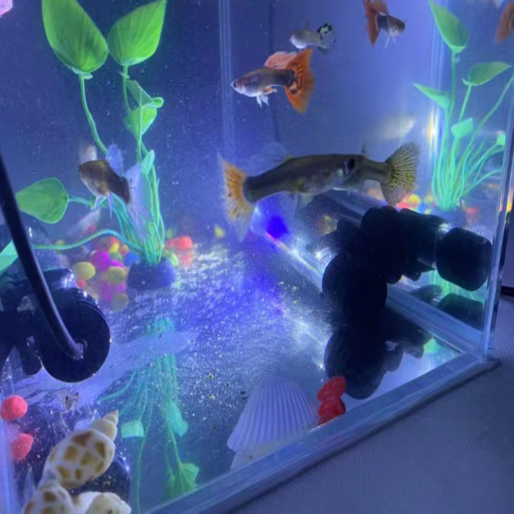 17cm 27cm 37cm USB DC5v Submersible blue white LED Aquarium Light Fish plant grow light underwater for Tank Lighting Bar lamp