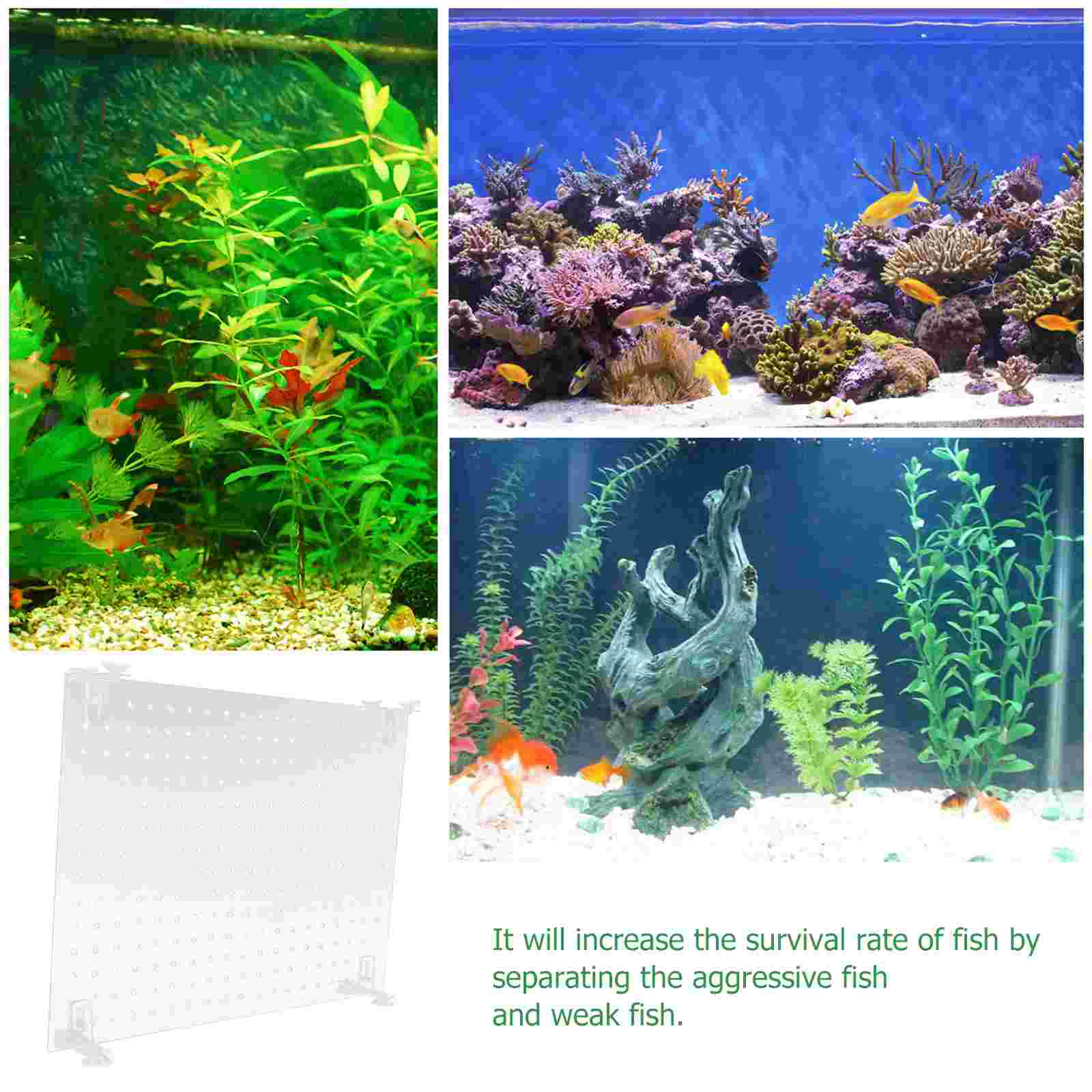 Fish Tank Isolation Board Divide Suction Cup Aquarium Divider Acrylic Transparent