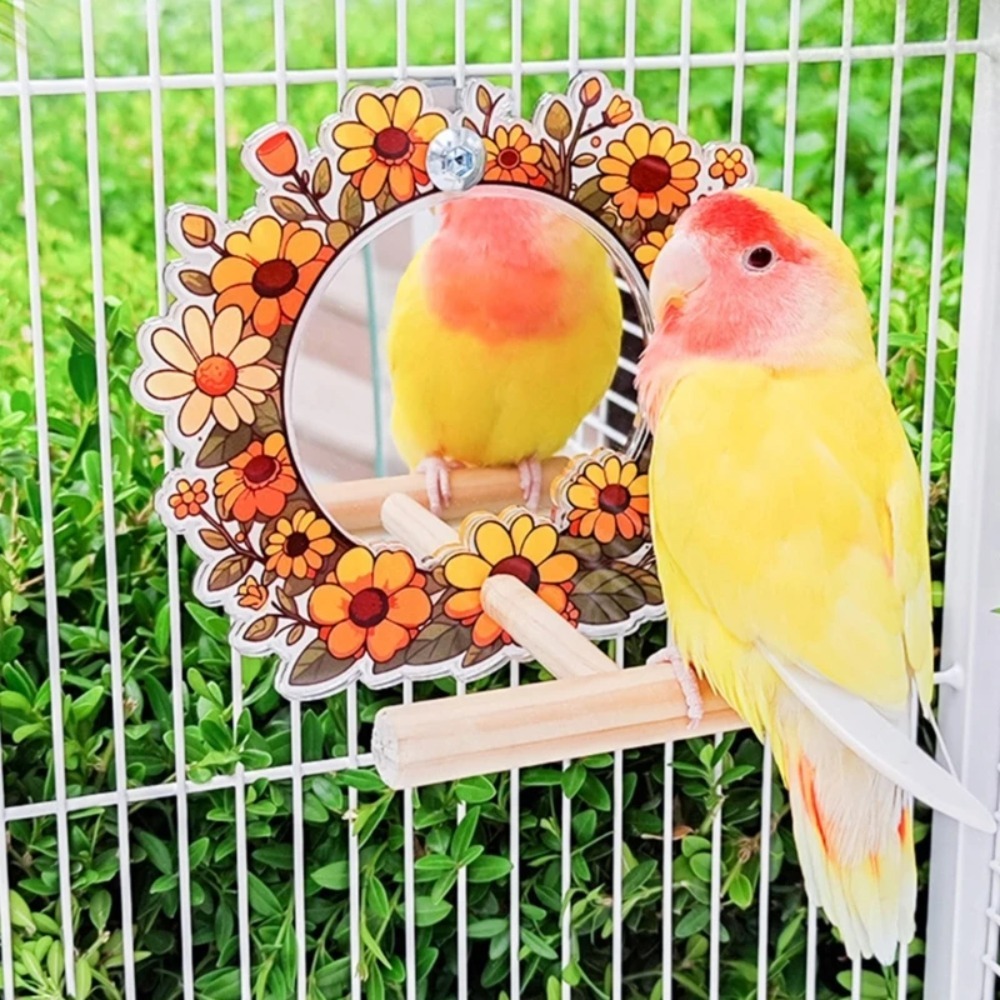 Wood Bird Perch Mirror Toy Hanging Fun Birdcage Mirror Toy Removable Colorful Cage Vanity Toy For Finch Canary Cockatiels