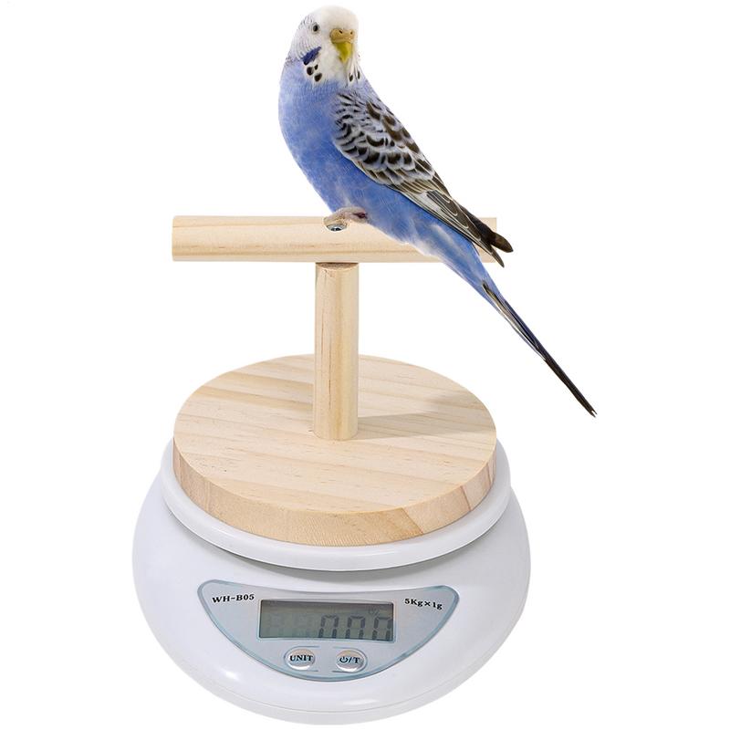Digital Bird Scale Parrot Training Bird Small Animal Scale With Perch High Accuracy Convenient Digital Weighing Tool For Weight