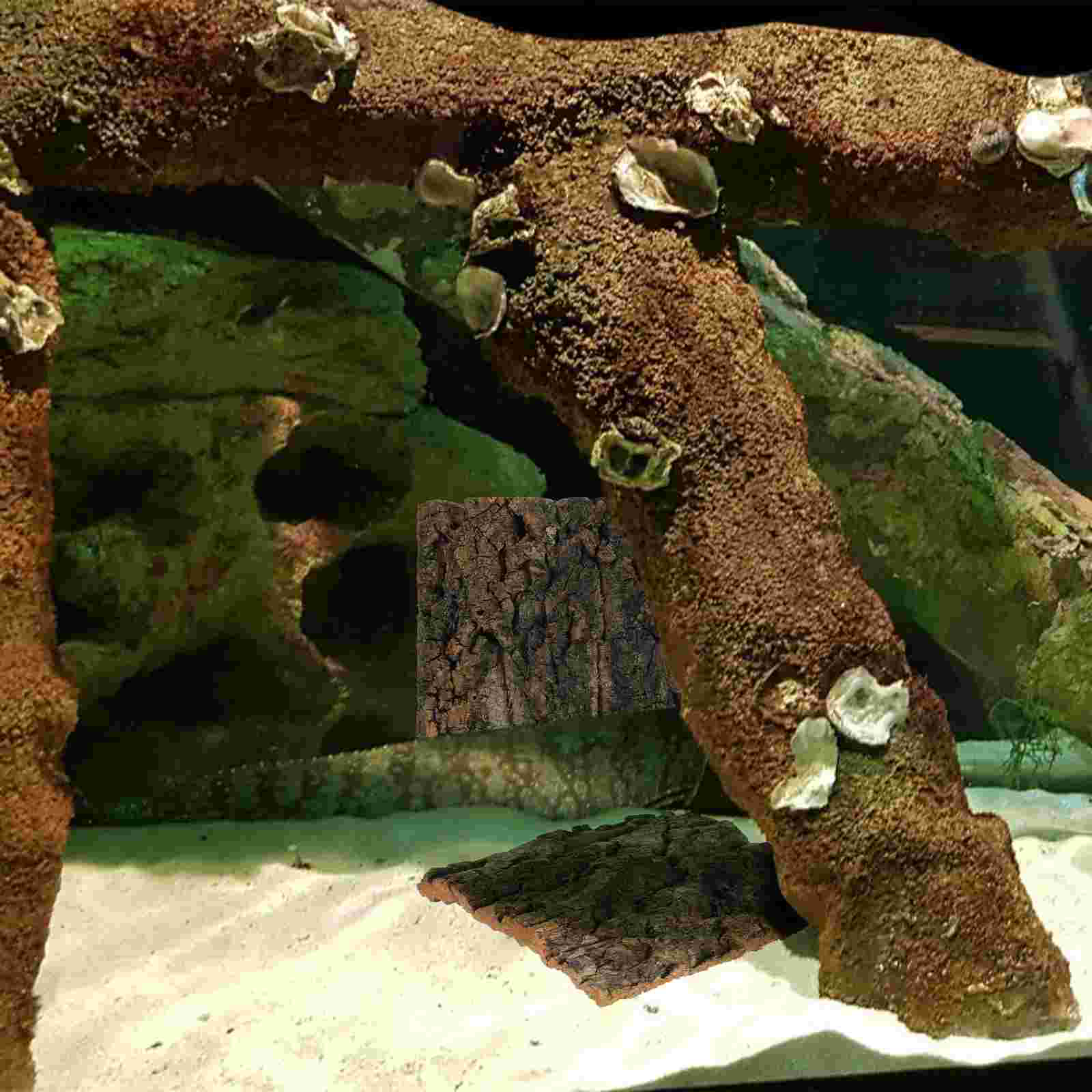 4 Pcs Fish Tank Decoration Natural Cork Bark Reptile Enclosure Background Terrarium Lizard Flats Bearded Dragon