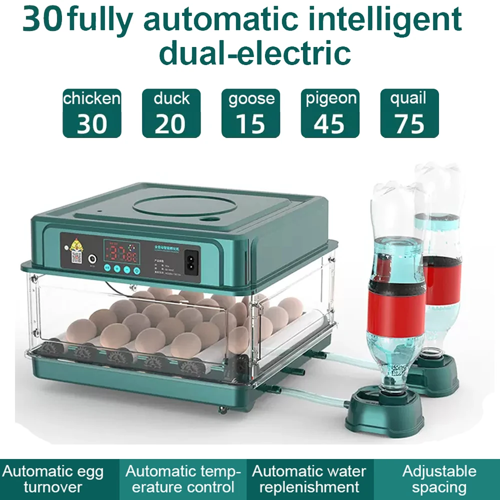 30 eggs incubator for Chicken Goose Bird Quail Automatic Incubation Equipment Hatchery Incubation Tools EU/US/UK Plug