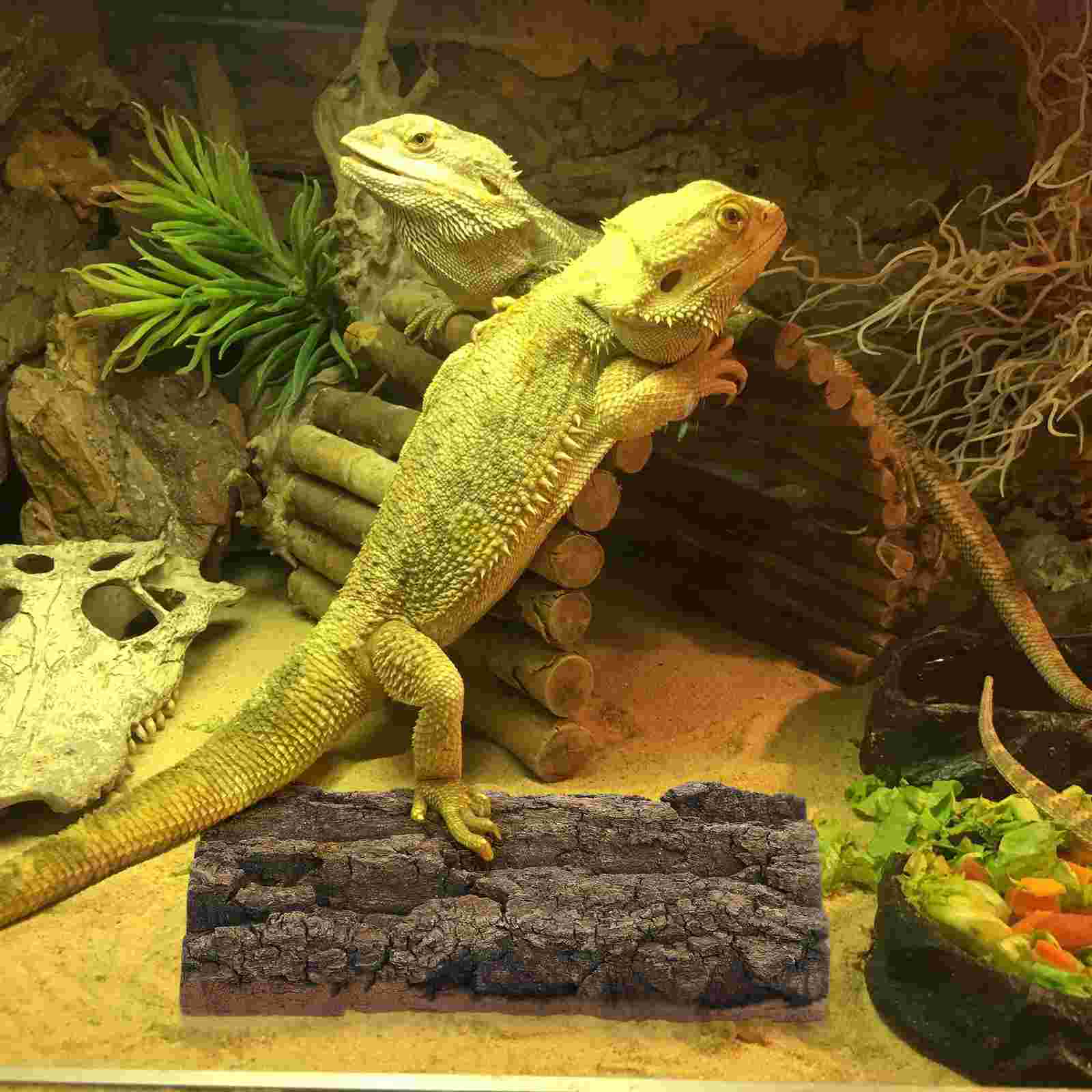 Fish Tank Landscaping Bark for Crafts Large Decorations Natural Aquarium Accessory Home Background Reptile Desktop Turtle