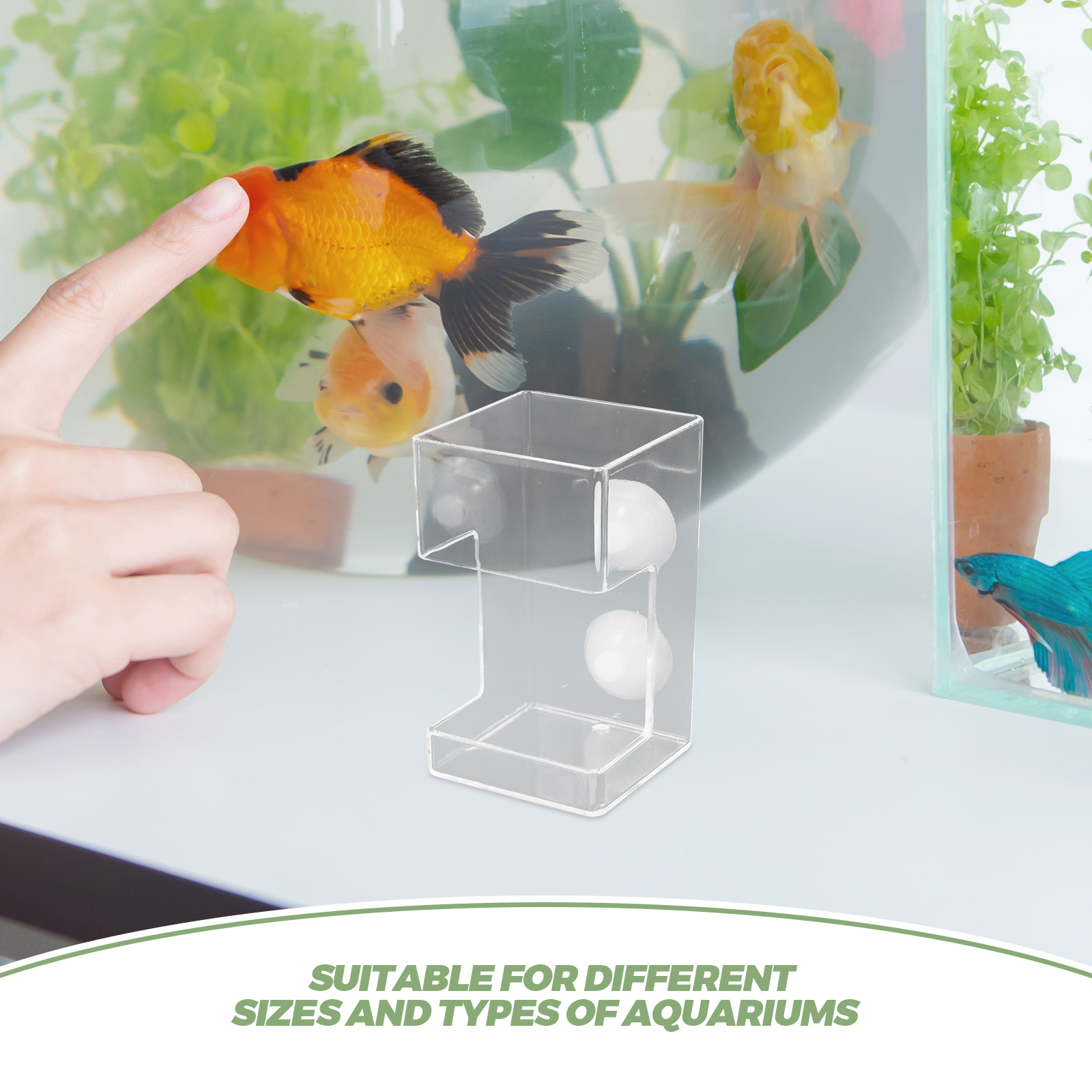 Fish Tank Feeder Suction Cups Food Holder Floating Shrimp Feeding Dish Accessories