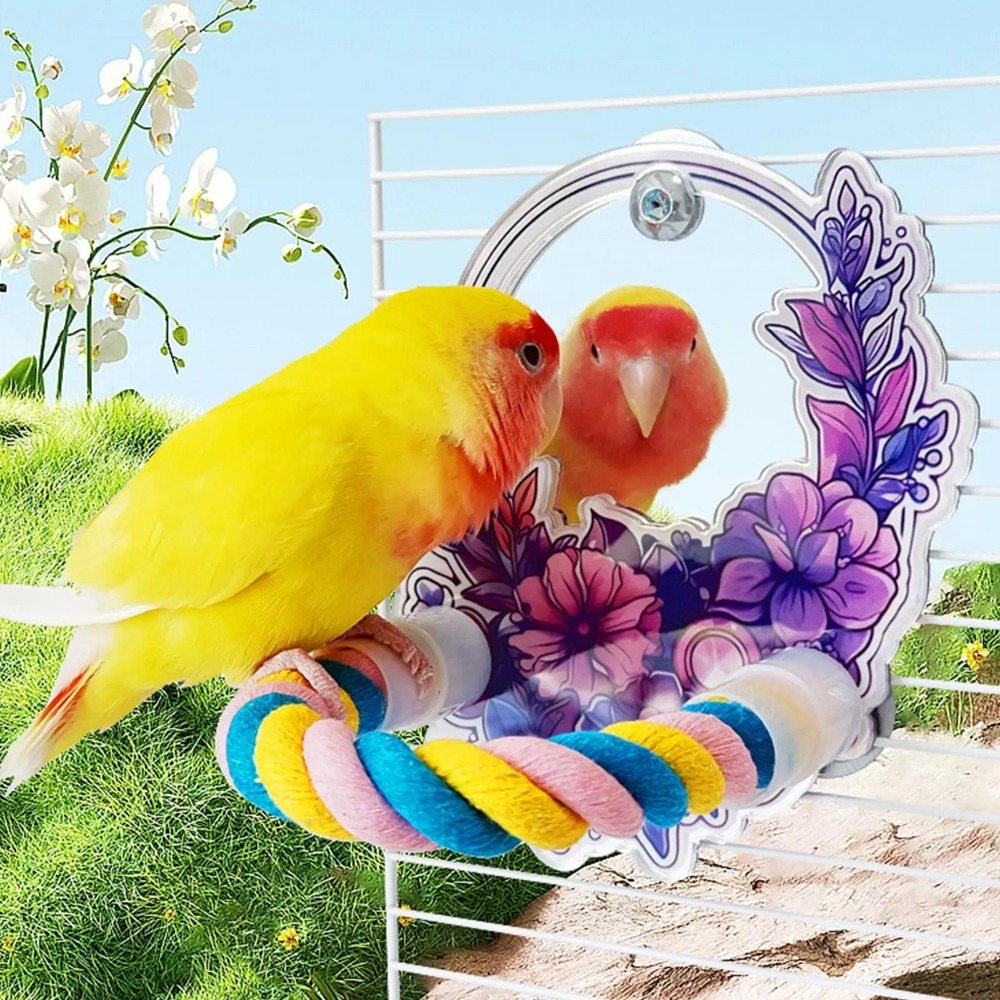 Durable Wood Bird Perch Mirror Toy Hanging Fun Bird Mirror Stand Removable Colorful Birdcage Mirror Toy African Grey Macaw