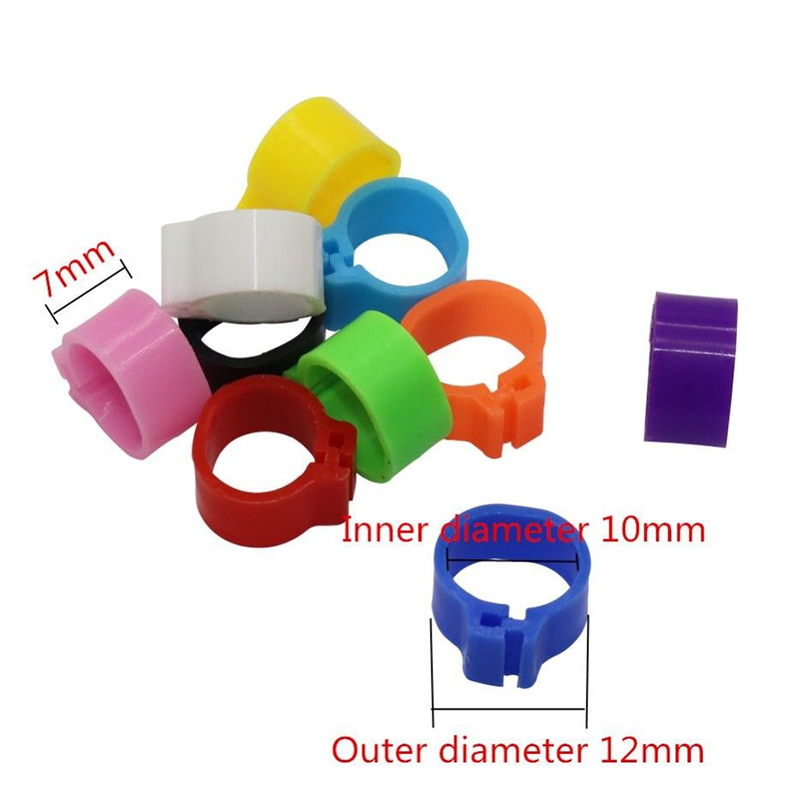 7mm Height Igeon Leg Rings Band 10mm Inner Dia. Random Racing Pigeon Leg Ring Band Birds Training Accessories Plastic
