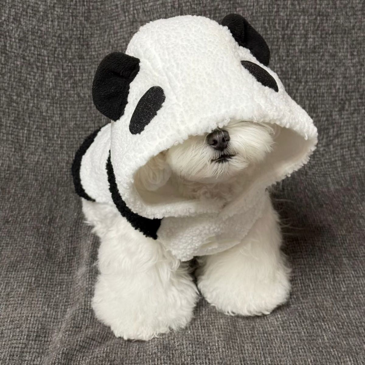 Pet Autumn and Winter Panda Baby Coat Hooded Plush Sweatshirt Teddy Bear Panda with Plush Vest Clothing Dog Jacket Puppy