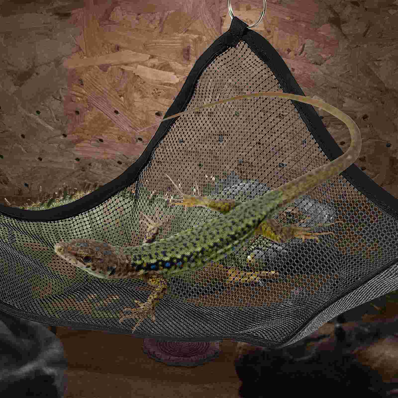 2 Pcs Crested Lizard Hammock Toy Leopard Gecko Glue Net Climbing Accessories Mesh