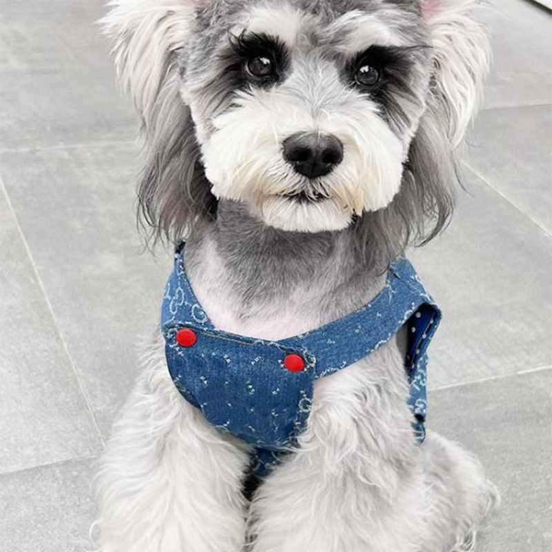 Designer Sweater Hoodies Dog Strap pants love Apparel Clothing Hooded Letter Printing Pullover Pets Supplies Warm Pet Sweatshirt Cold Weather Free shi