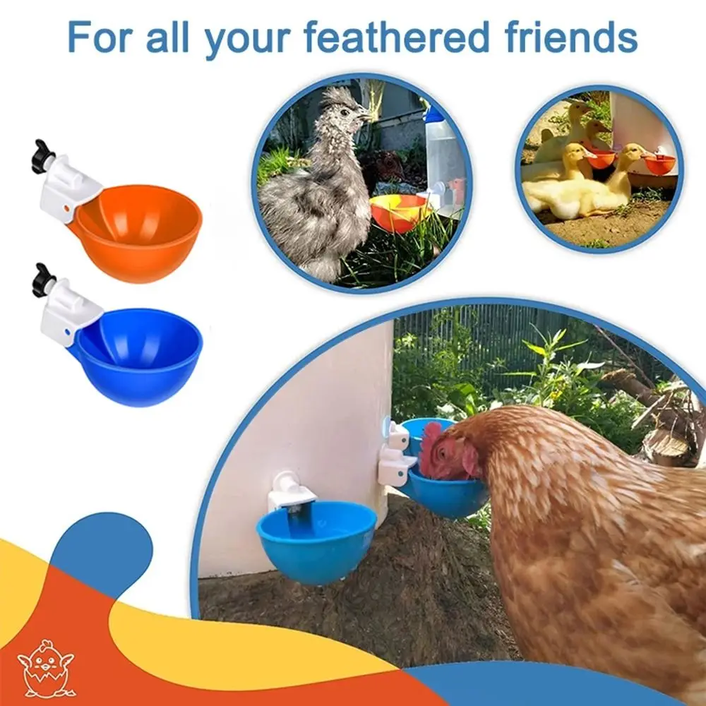 10PCS Automatic Chicken Water Feeder Drinking Cups Poultry Kit for Chicks Duck Goose Turkey Quail Feeding Watering Supplie