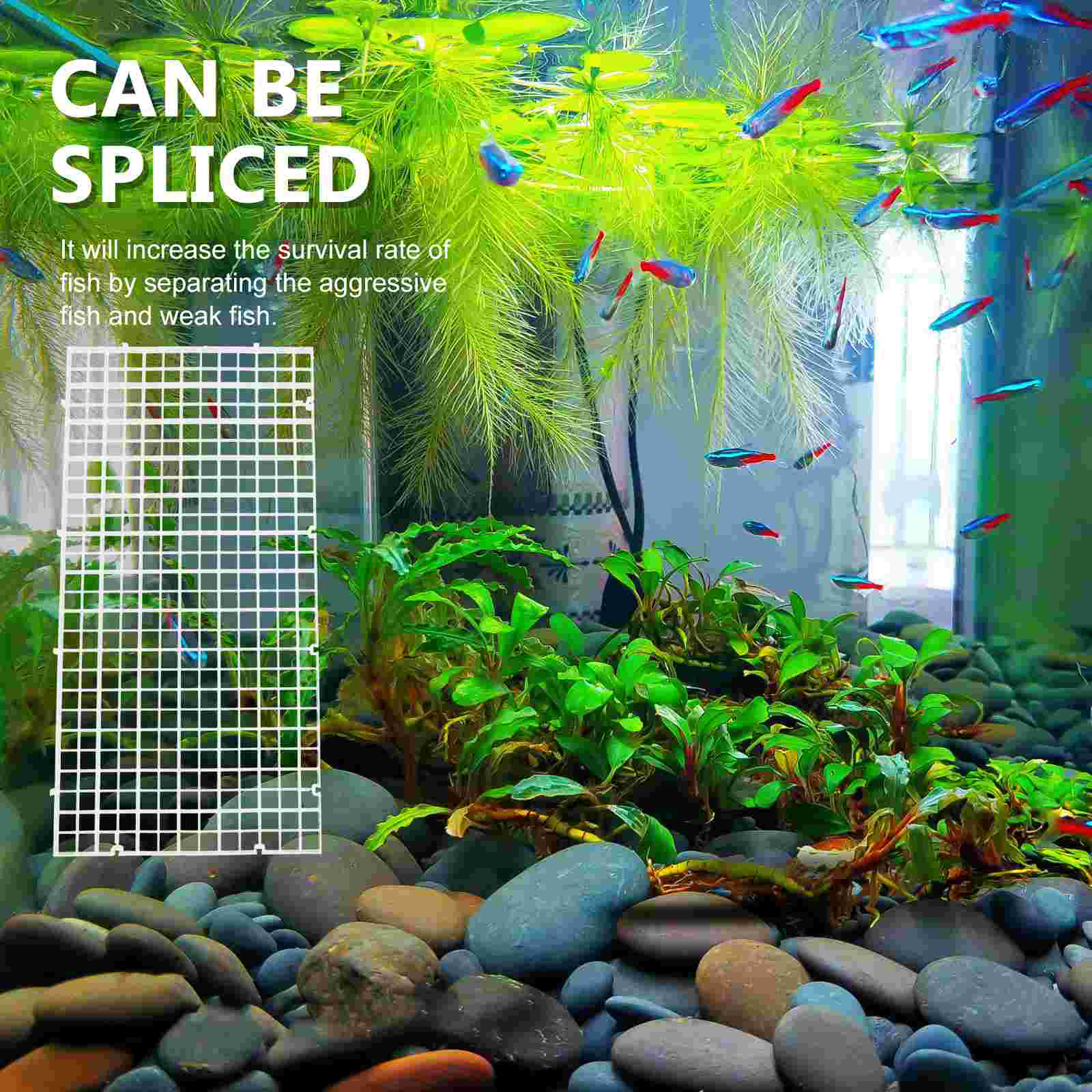 Fish Tank Isolation Board Supplies Aquarium Divider Mesh Breeding Sucker Separator