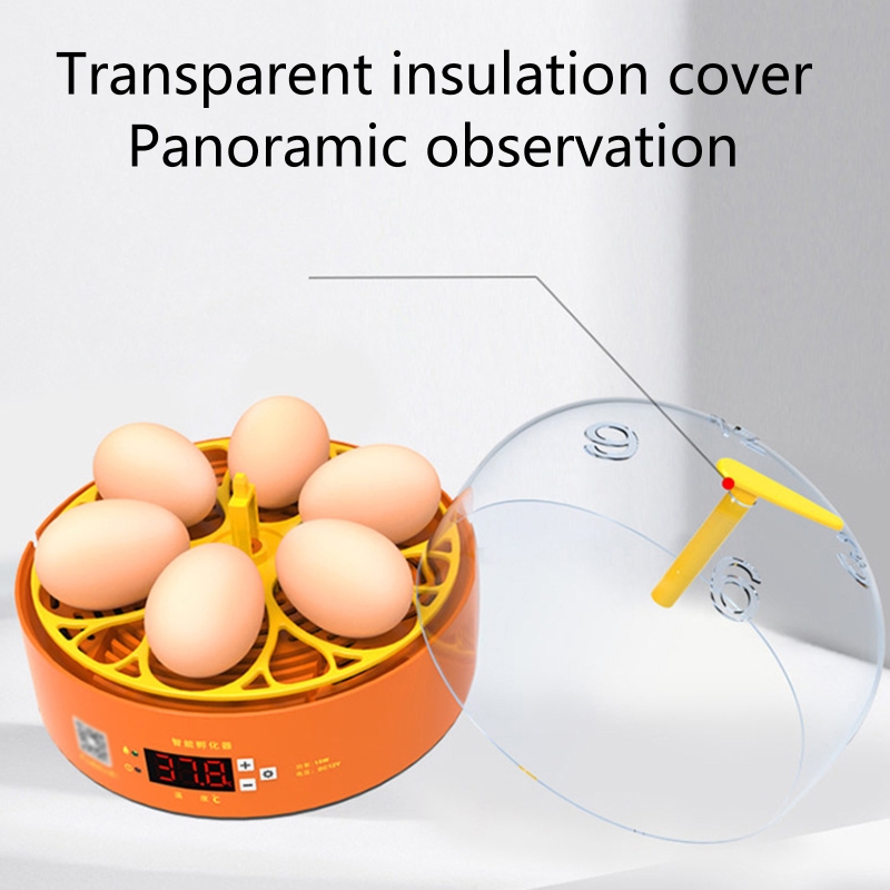 Intelligent Egg Incubator 6 Eggs Hatching Incubator Duck Quail Egg Incubators with Fully Automatic Egg Turning for Chick
