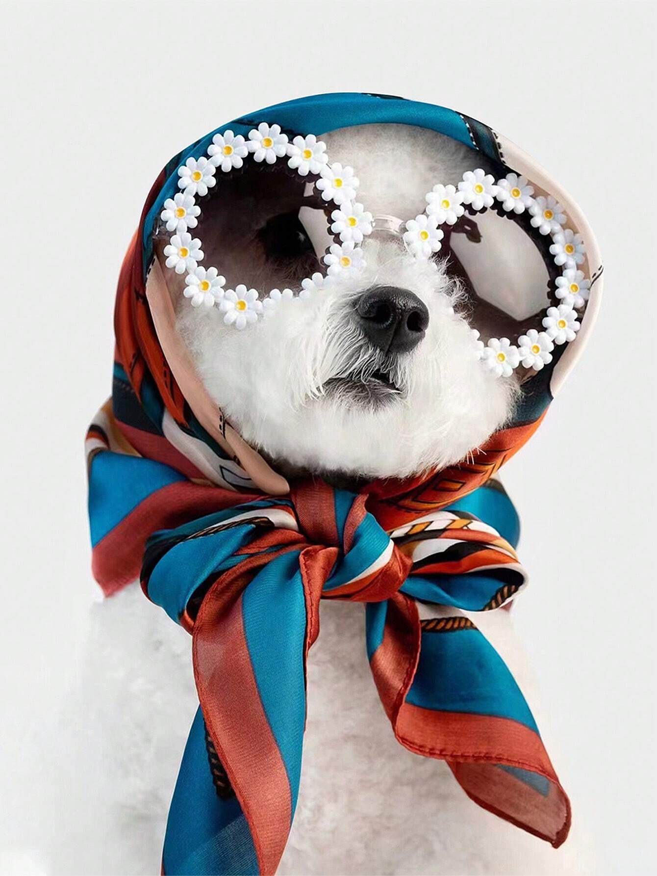 Pet Glasses Small Daisy Shaped Spring/Summer Party Fashion Eyewear Dog bag holder Dog car cover back seats Dog poop bag Mochila