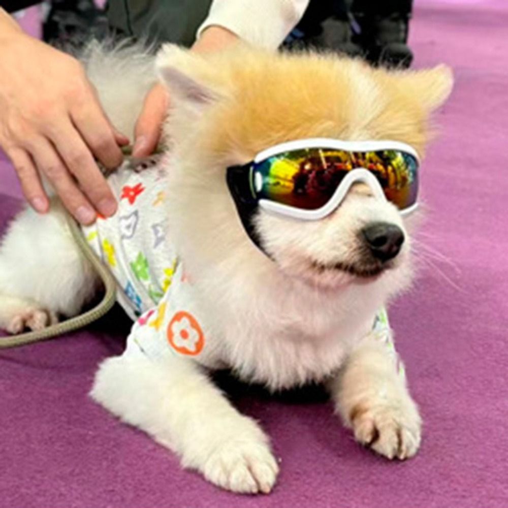 Practical Adjustable Strap Dog Goggles Windproof UV Resistant Dog Sunglasses Waterproof Anti-Fog Pet Glasses Sports