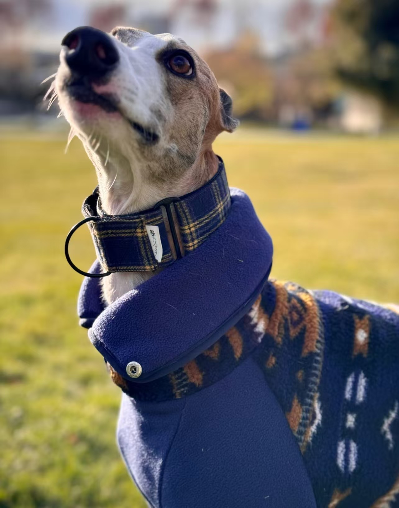 Fashion Bohemia Fleece Sweatshirt for Whipbit Luxury Soft 4-legged High-Neck Windproof Coat for Italy Greyhound Terrier Jumpsuit