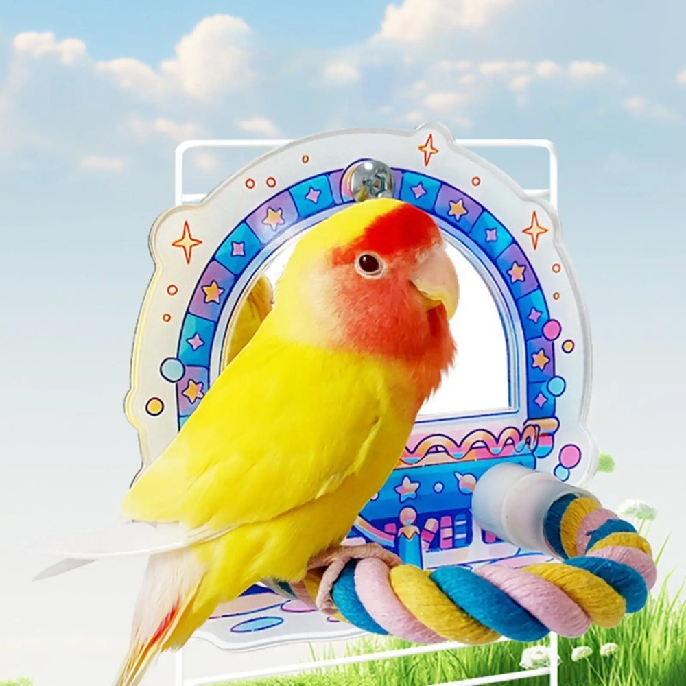 Durable Wood Bird Perch Mirror Toy Hanging Fun Bird Mirror Stand Removable Colorful Birdcage Mirror Toy African Grey Macaw