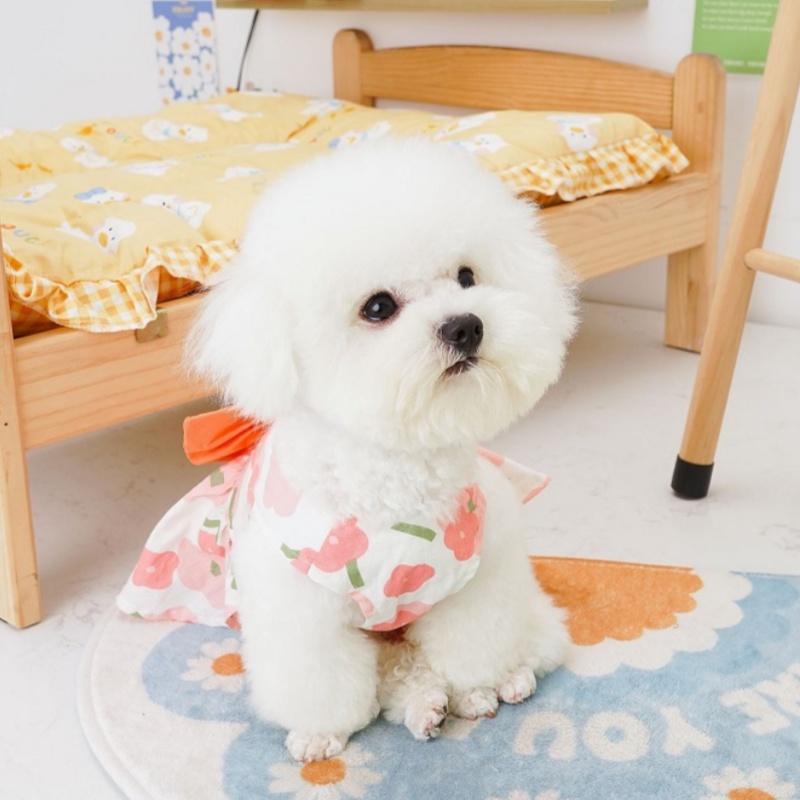 Fashion Dog Princess Dress Dog Harness with Leash Floral Puppy Suspender Skirt Cute Bow Cat Dresses Pet Accessories Dog Clothes