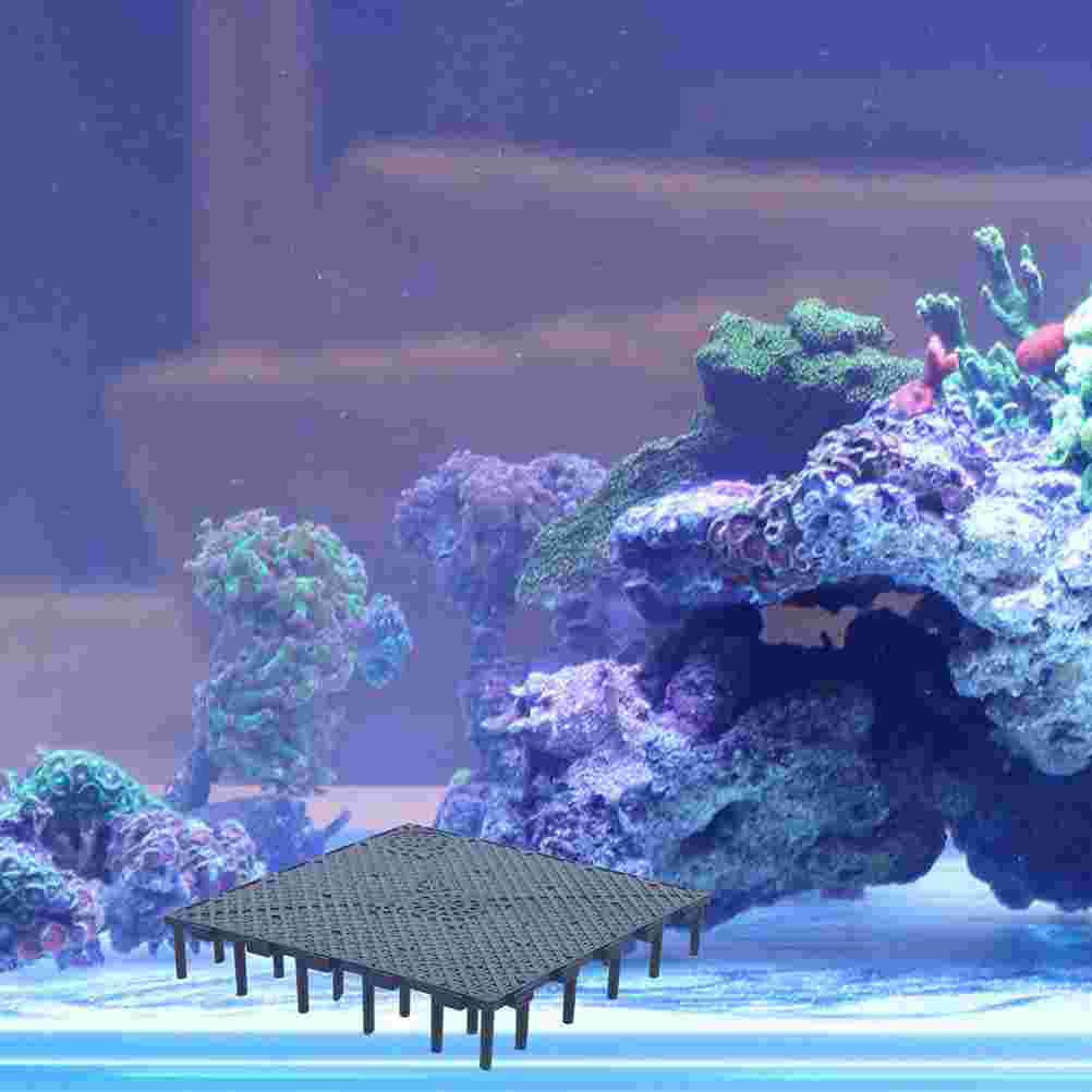 5 Pcs Fish Tank Bottom Filter Tray Divider Aquarium Accessories Plastic Bowl Separator Crate Plate