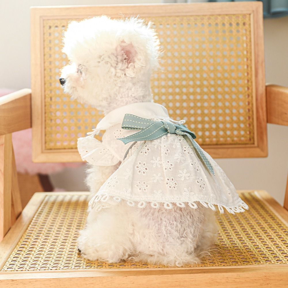 Bichon Frise White Spring Cat Dog Dress Hollow Out Skin-friendly Puppy Skirt Soft Pet Skirt Spring/summer