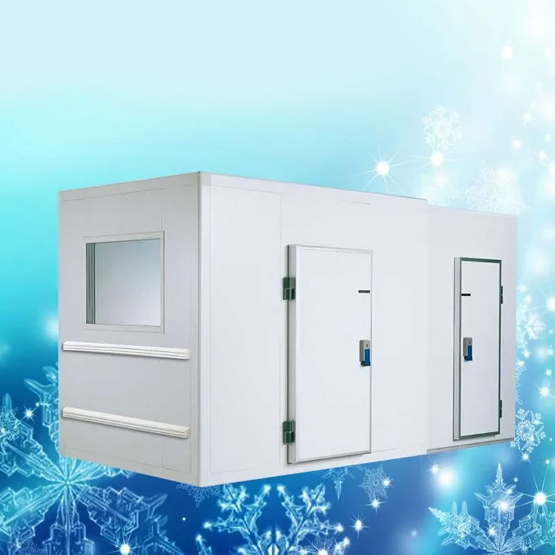 solar powered cold room for fish and meat Commercial Blast Freezer Container Provided mini Cold Storage Cool Room 50 Tons