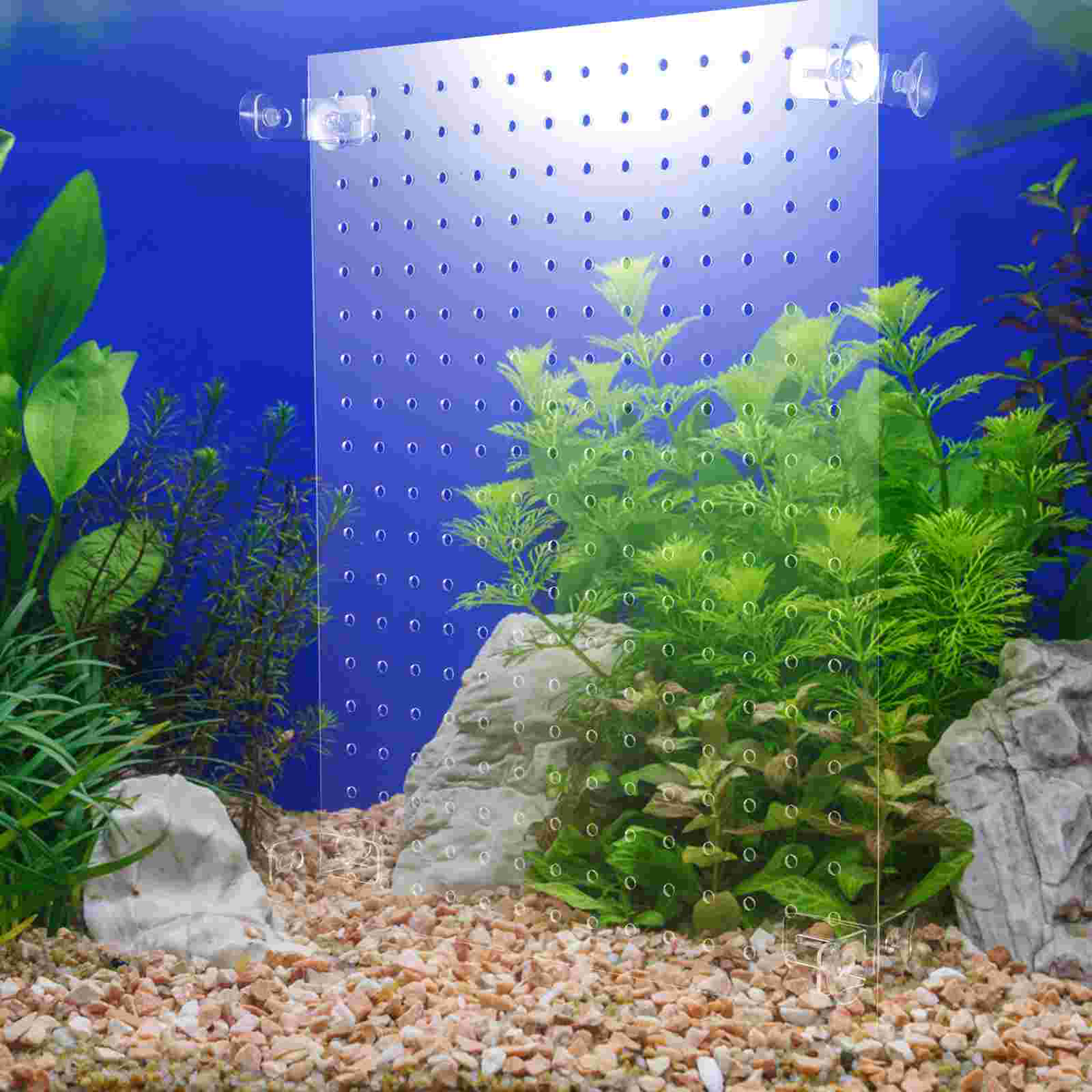 Fish Tank Isolation Board Transparent Divider Aquarium Accessory Water Case Filter Acrylic Suction Cups