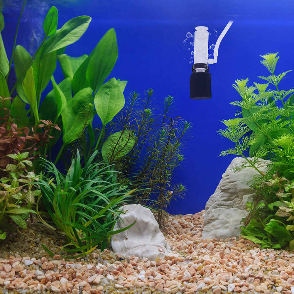 Aquarium Oxygen-increasing Head Pet Goldfish Filter Tank Filters for Aquariums Stainless Steel Betta Sponge Small