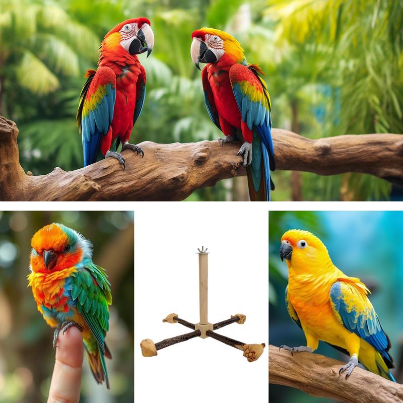 Natural Parrot Perch Bird Stand Tree Rods Claw Grinder Long Tailed Parakeet Climbing Standing Tree Branch Bird Cage Accessories