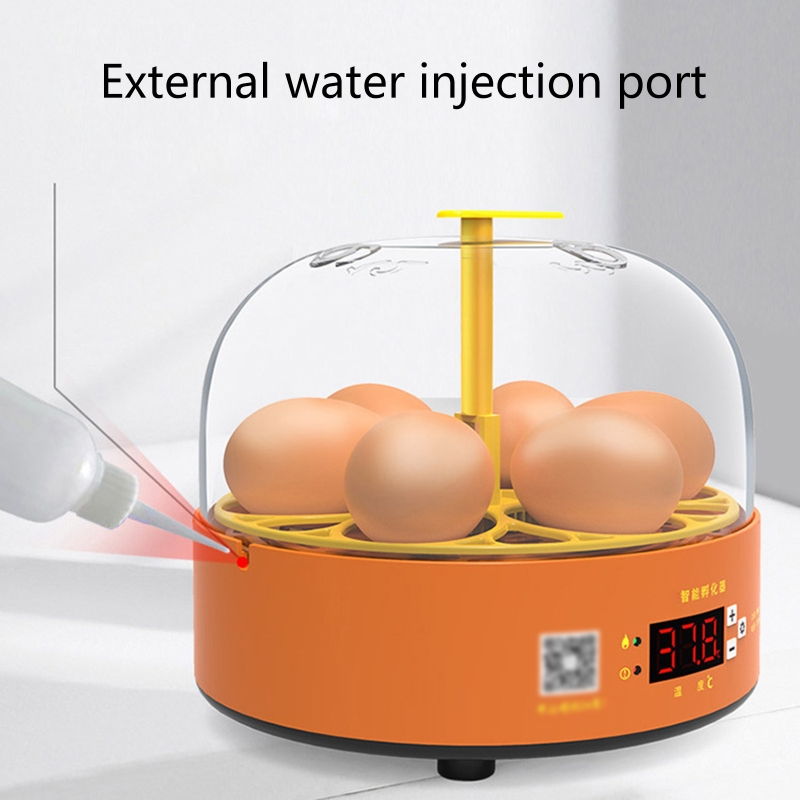 Intelligent Egg Incubator 6 Eggs Hatching Incubator Duck Quail Egg Incubators with Fully Automatic Egg Turning for Chick