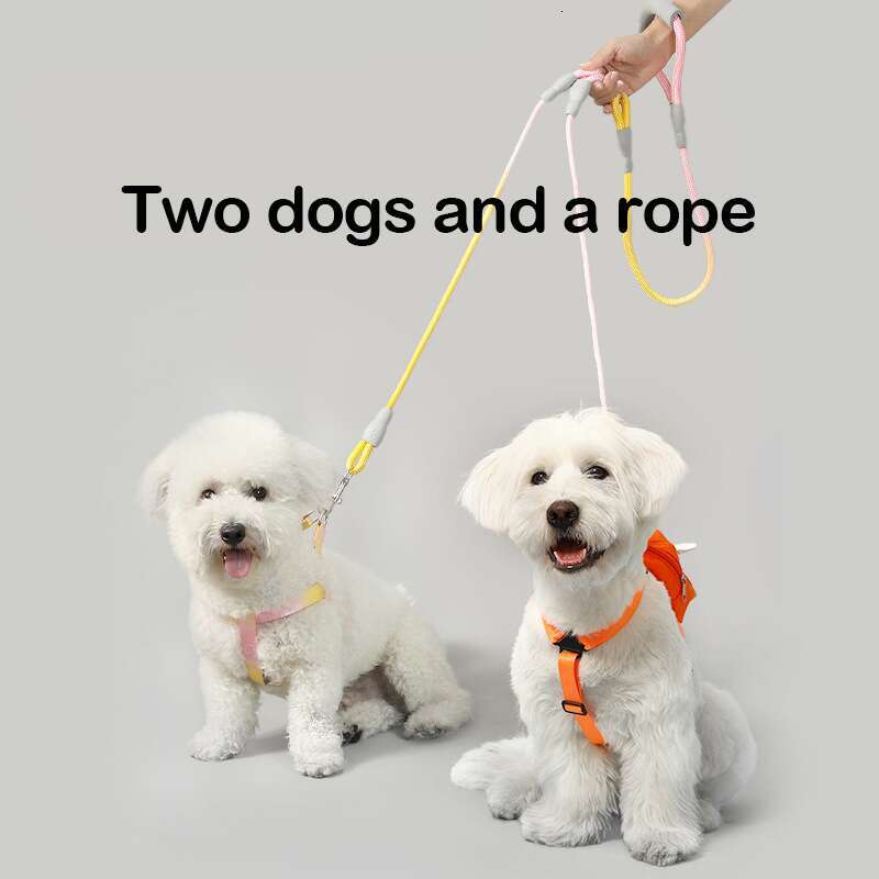 DHpet Pet Gradient Color Dog Walking Rope One To Two Traction Rope Anti-entanglement Double-headed Dog Rope Dog Chain Dog Traction Rope